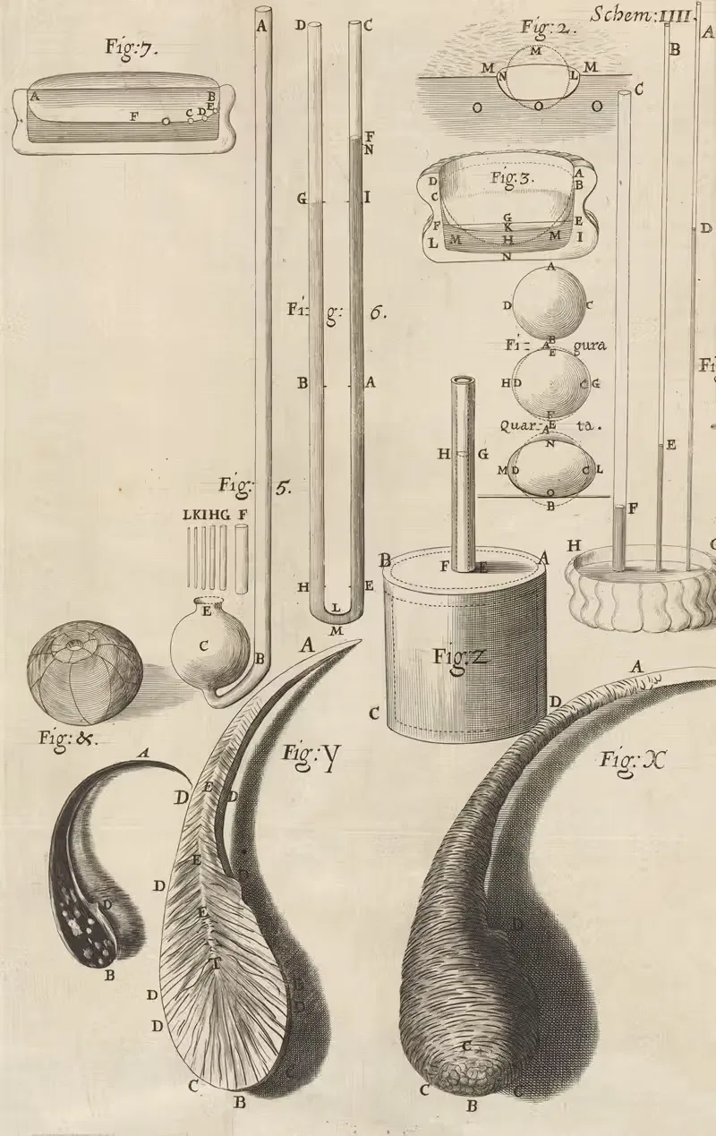 Microscopic view of assorted glass canes and drops — Robert Hooke