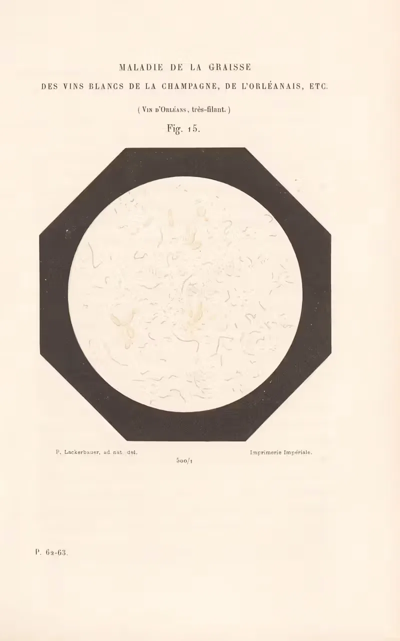 Этюды о вине, пл. 10 by Луи Пастер, 1866 — digital art print download