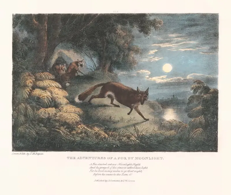 The Adventures of a Fox by Moonlight — Thomas Mann Baynes