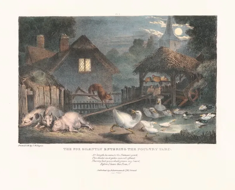 Лиса, тихо входящая во двор курятника by Томас Манн Бейнс, 1836 — digital art print download