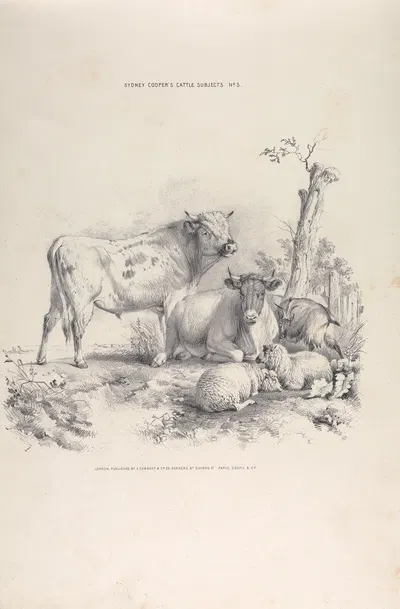 Thomas Sydney Cooper's cattle subjects Pl.03 by Thomas Sidney Cooper — digital art print download