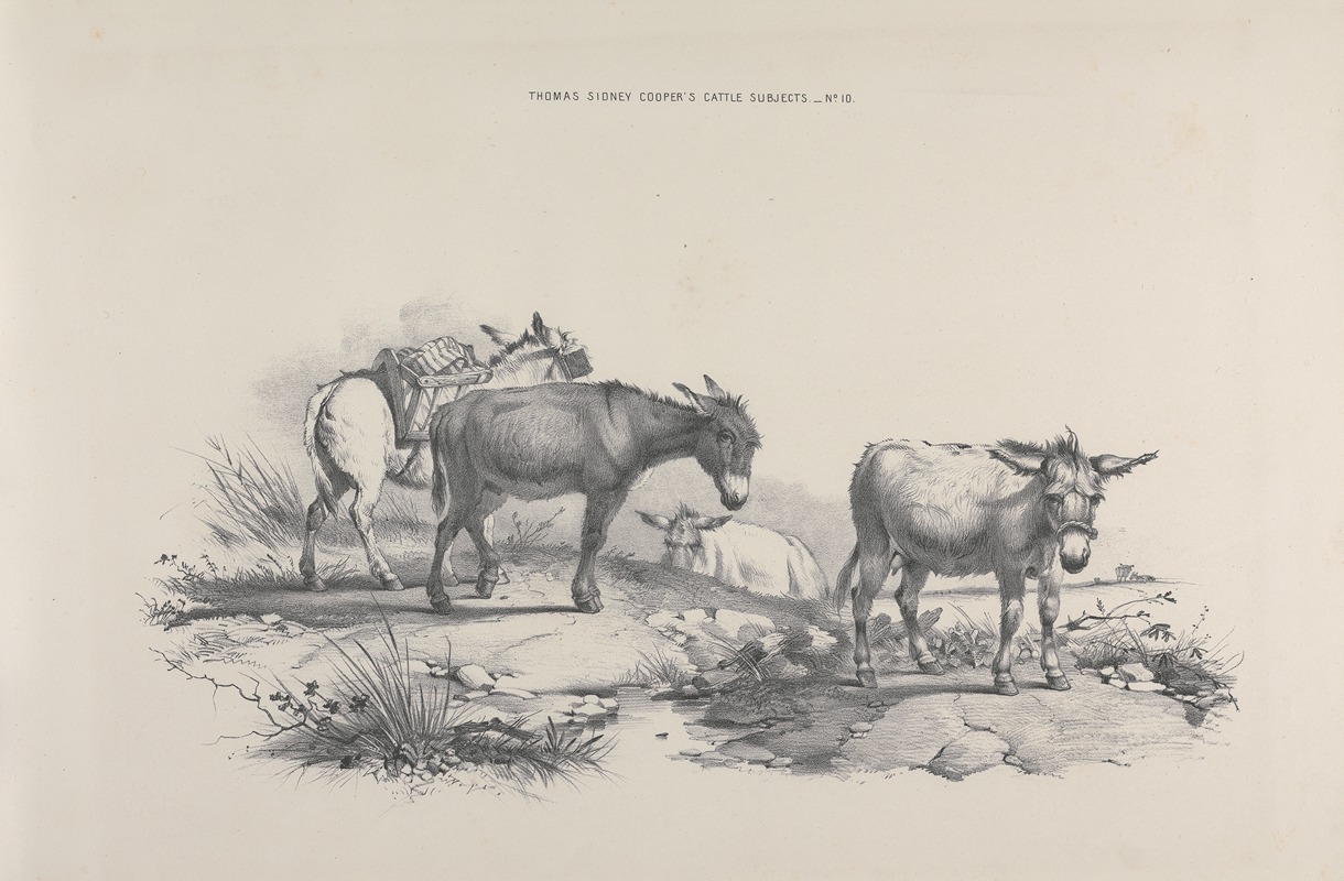 Thomas Sydney Cooper's cattle subjects Pl.10 — Thomas Sidney Cooper
