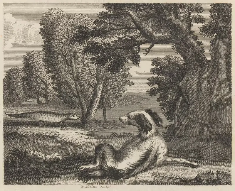 Fable II. The Spaniel and the Cameleon — John Wootton
