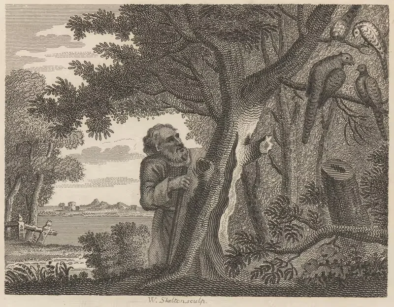Fable XV. The Philosopher and the Pheasants — John Wootton