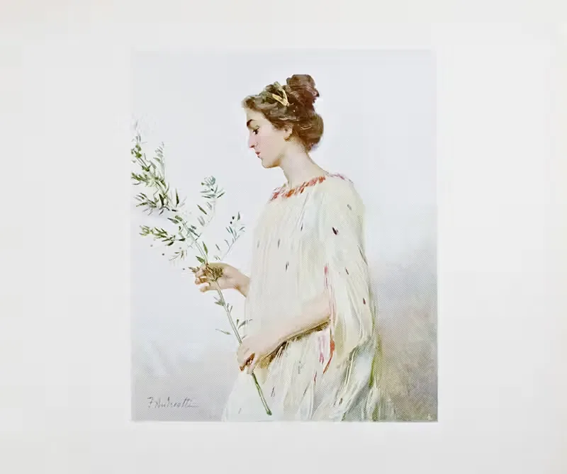 Novissima Pl.13 by Edoardo de Fonseca (Editor), 1901-1905 — digital art print download