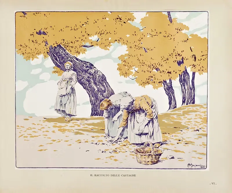 Novissima Pl.73 by Edoardo de Fonseca (Editor), 1901-1905 — digital art print download