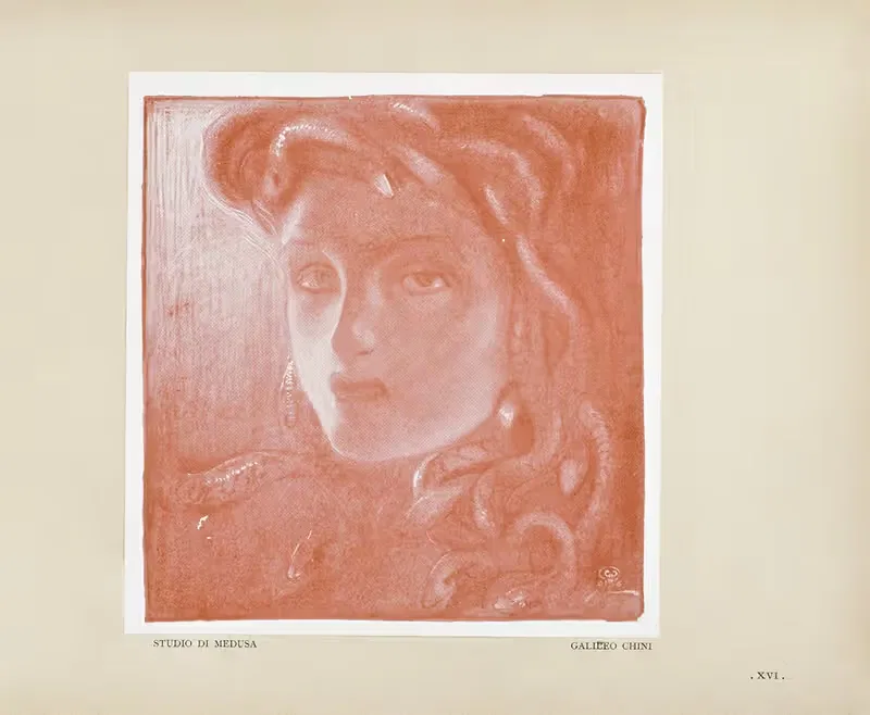 Novissima Pl.78 by Edoardo de Fonseca (Editor), 1901-1905 — digital art print download