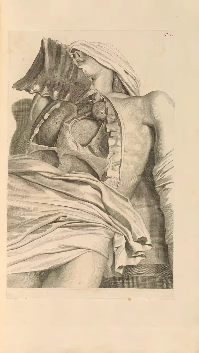 Anatomia humani corporis Pl.022 — Gerard de Lairesse