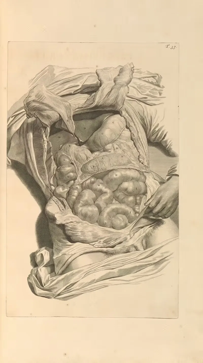 Anatomia humani corporis Pl.034 — Gerard de Lairesse