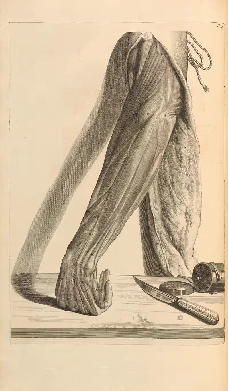 Anatomia humani corporis Pl.070 — Gerard de Lairesse