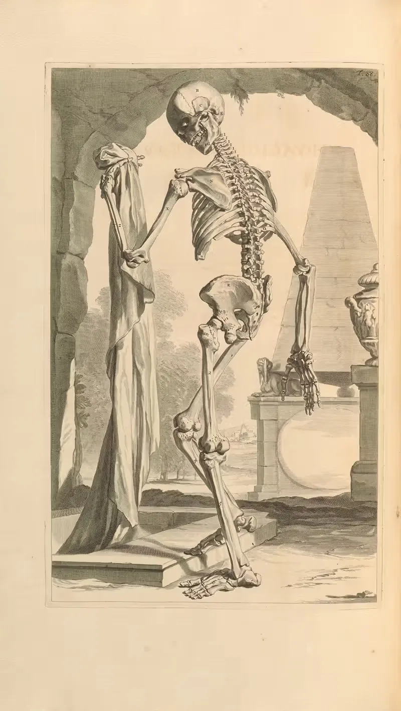 Anatomia humani corporis Pl.089 — Gerard de Lairesse