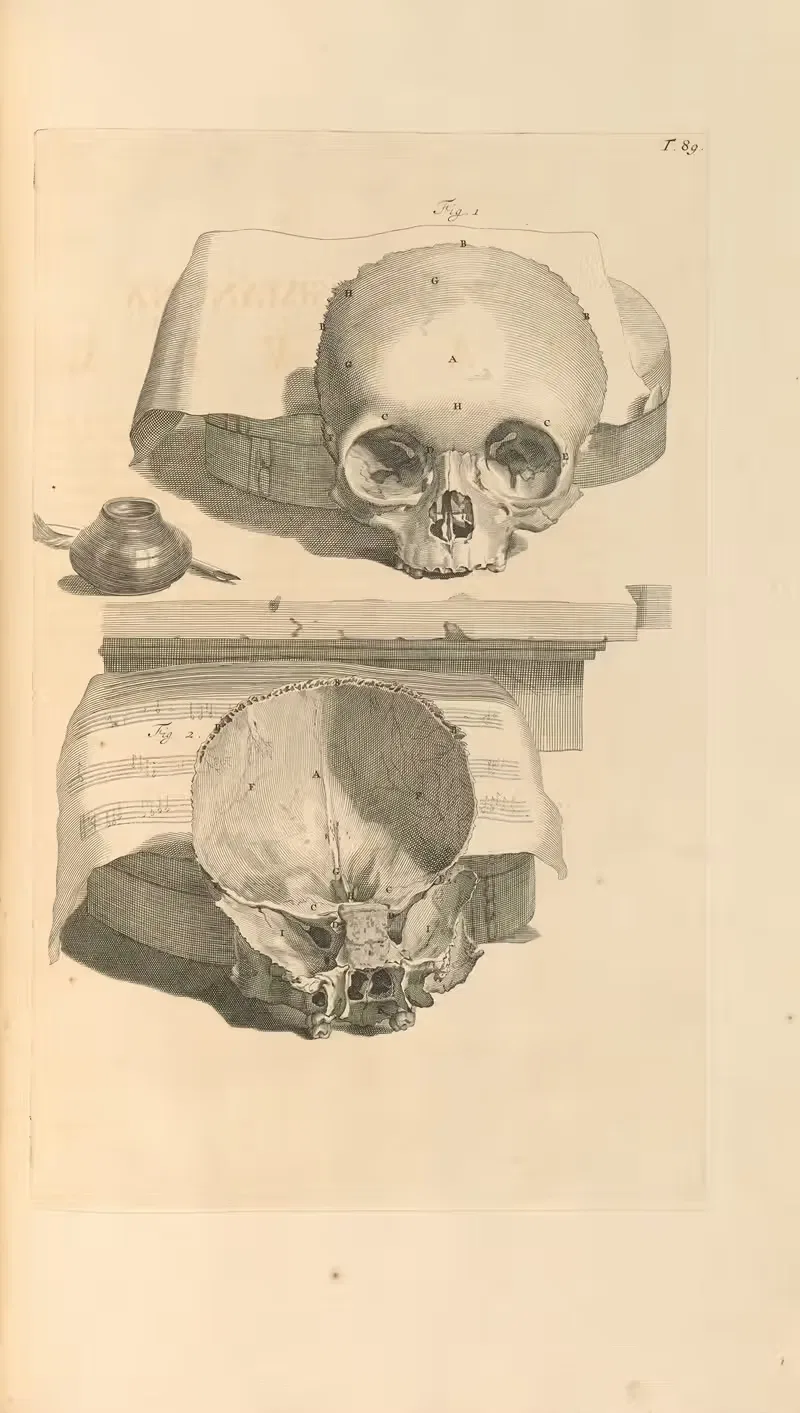 Anatomia humani corporis Pl.090 — Gerard de Lairesse