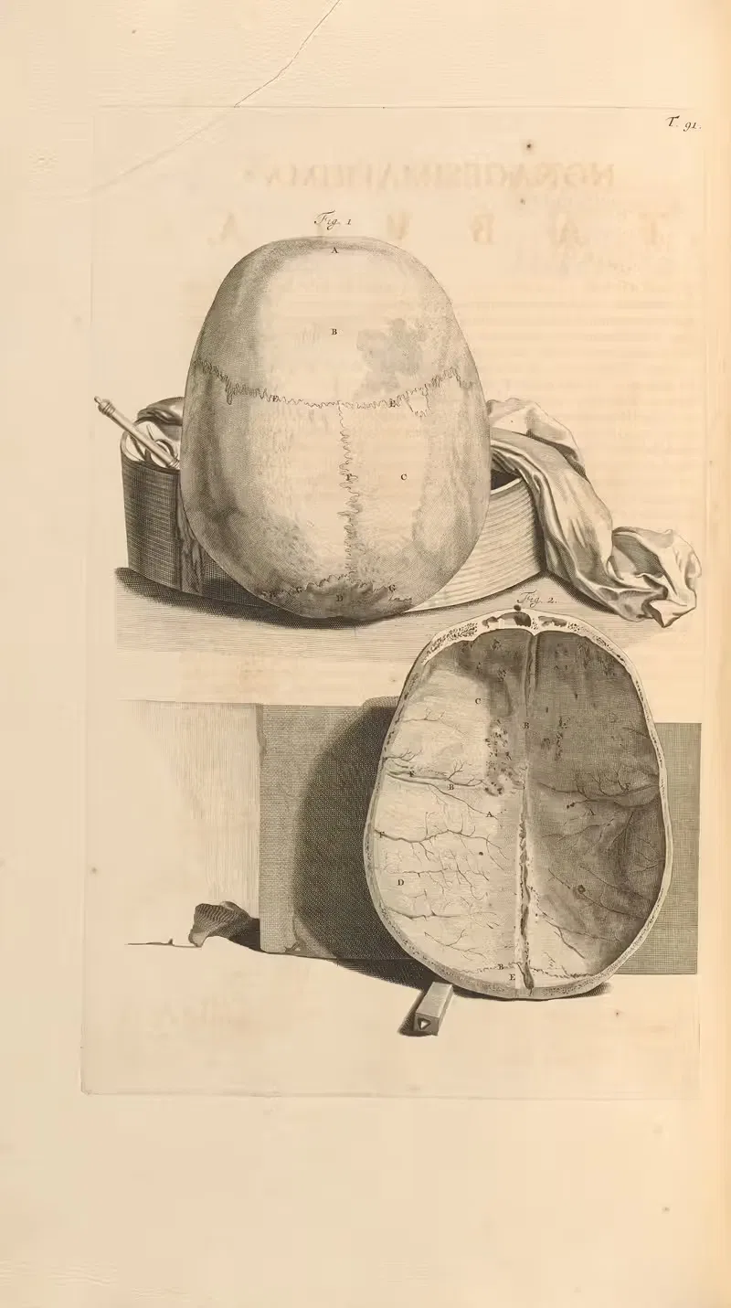 Anatomia humani corporis Pl.092 — Gerard de Lairesse