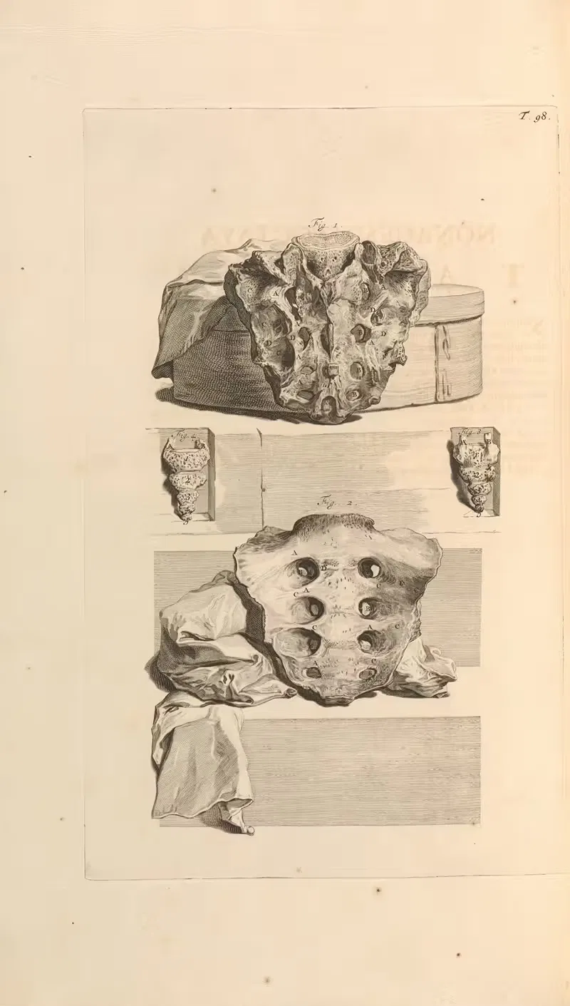 Anatomia humani corporis Pl.099 — Gerard de Lairesse