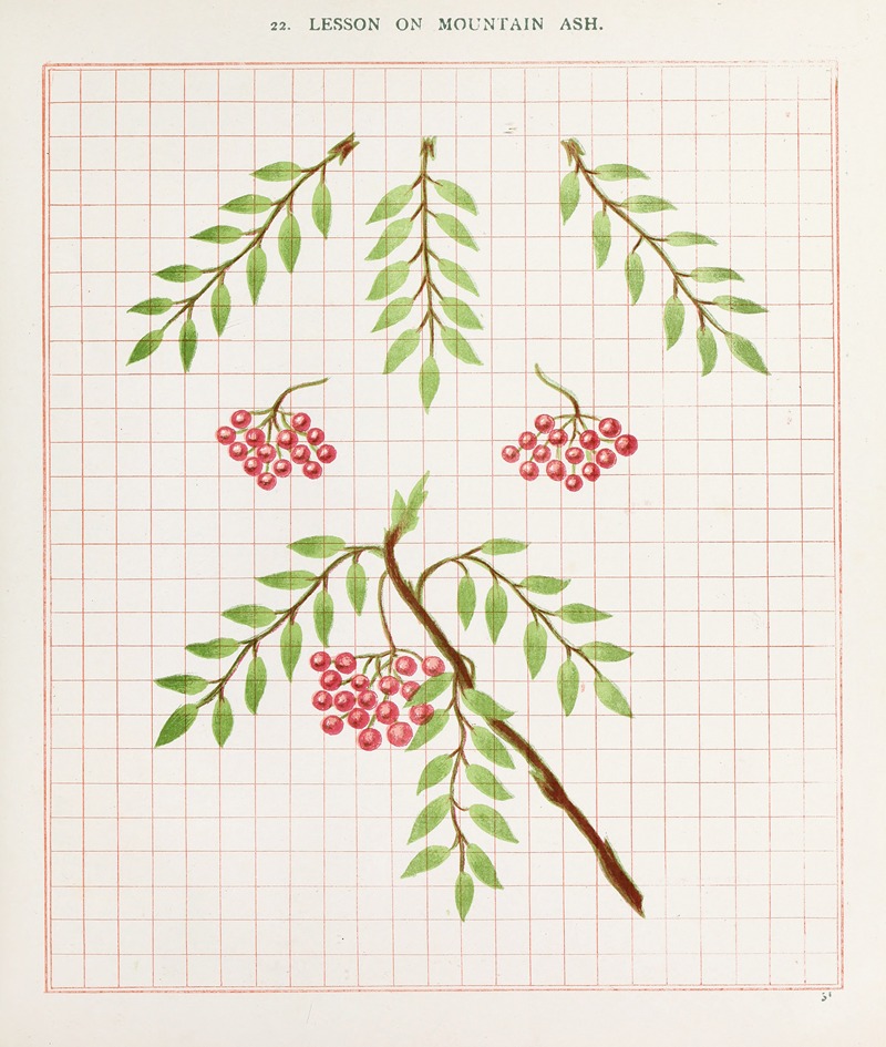 Brushwork Pl.22 by Marion Hudson, 1903 — digital art print download