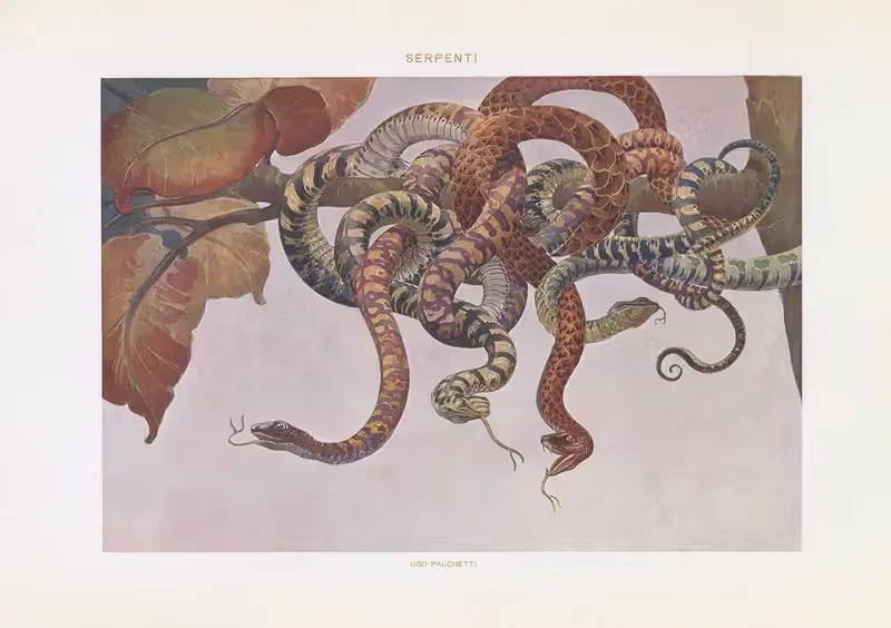 Современное декоративное искусство, том I by Пол Венцель, 1910 — digital art print download