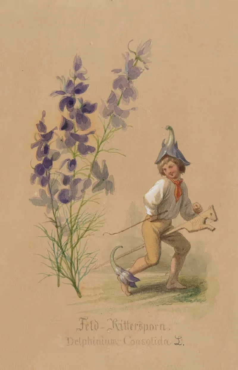 Feld-Rittersporn by Adolf Schrödter — digital art print download