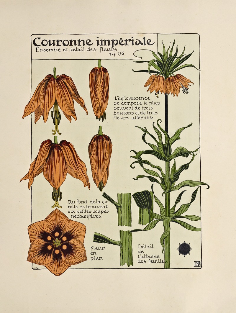 Couronne Imperiale by Морис Пиллар Вернёй, 1903 — digital art print download