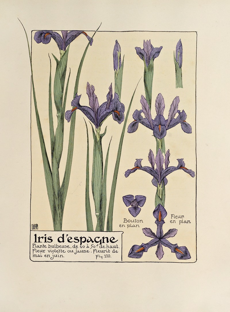 Iris d'espangne by Морис Пиллар Вернёй, 1903 — digital art print download