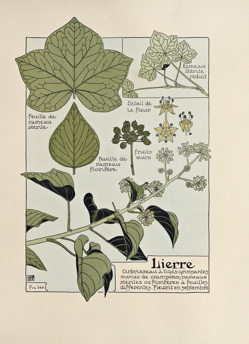 Lierre by Морис Пиллар Вернёй, 1903 — digital art print download