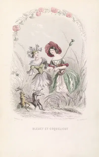 Bleuet et Coquelicot by J. J. Grandville — digital art print download
