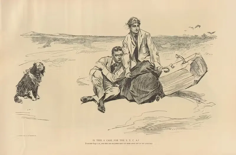 Это случай для S. P. C. A. by Чарльз Дана Гибсон, 1893-1900 — digital art print download
