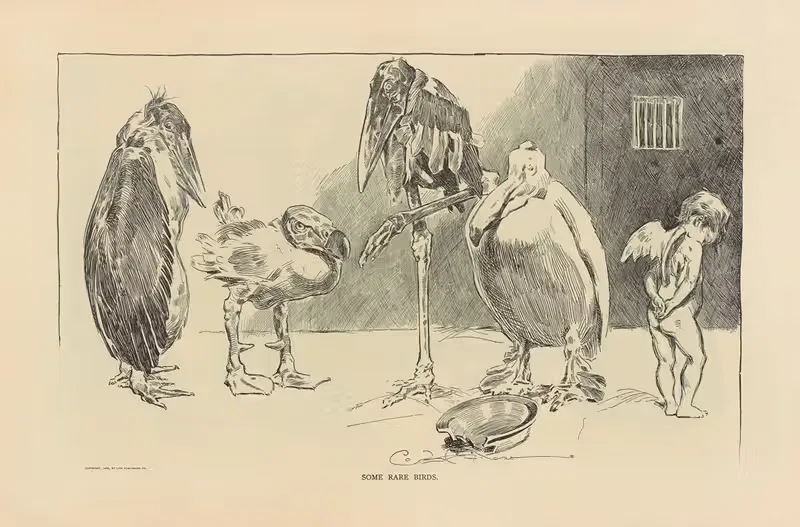 Some rare birds by Charles Dana Gibson, 1893-1900 — digital art print download