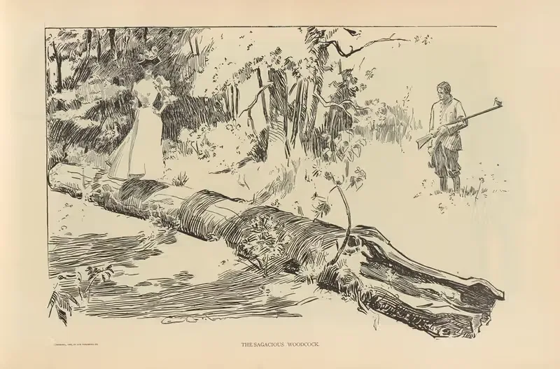 Проницательный рябчик by Чарльз Дана Гибсон, 1893-1900 — digital art print download