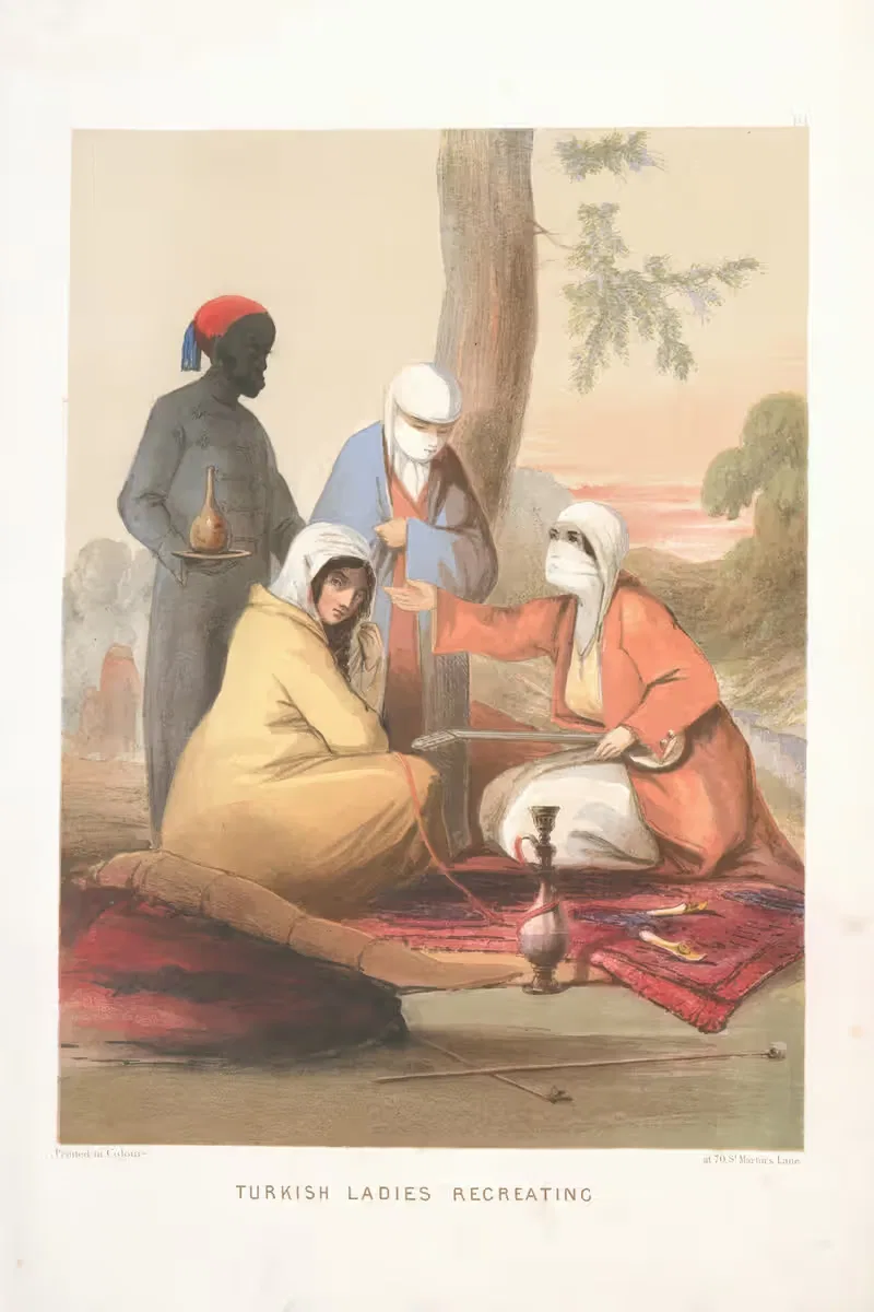 Турецкие дамы воссоздают by Форбс МакБин, 1854 — digital art print download