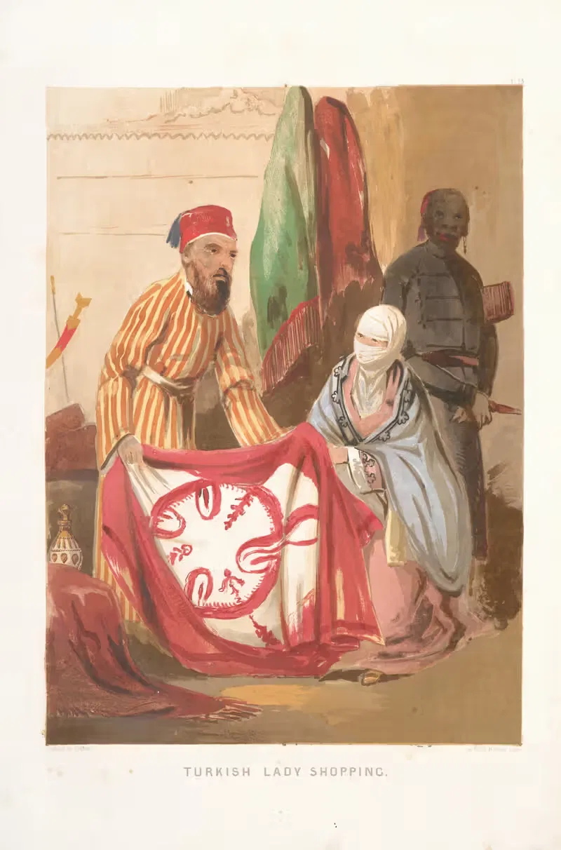 Турецкая леди за покупками by Форбс МакБин, 1854 — digital art print download