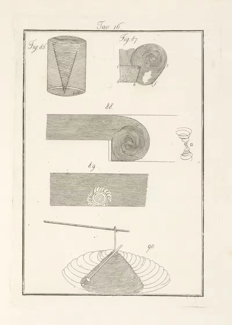 Tavola 16 by Francesco Cardinali, 1828 — digital art print download