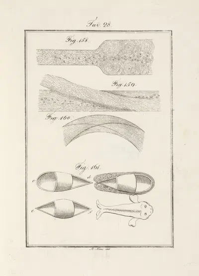 Tavola 28 by Francesco Cardinali, 1828 — digital art print download