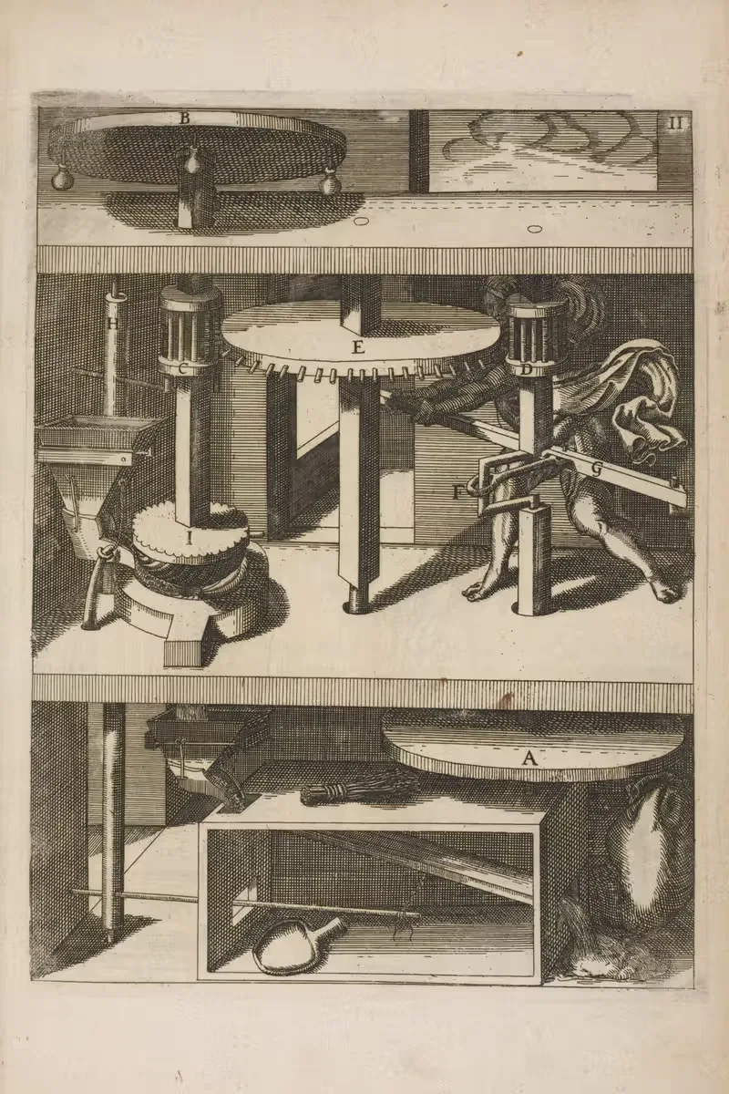Фиг. XI. Хиромилос. by Георг Андреас Бёклер, 1662 — digital art print download