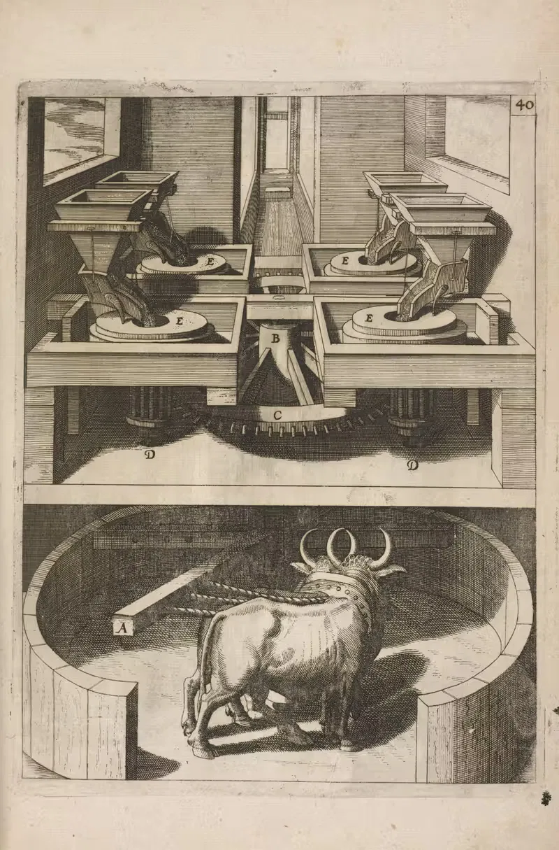 Рис. XL. Бумилос квадруплекс. by Георг Андреас Бёклер, 1662 — digital art print download