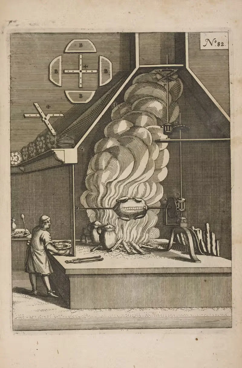 Рис. XXCII. Верувертебра, через тепло by Георг Андреас Бёклер, 1662 — digital art print download