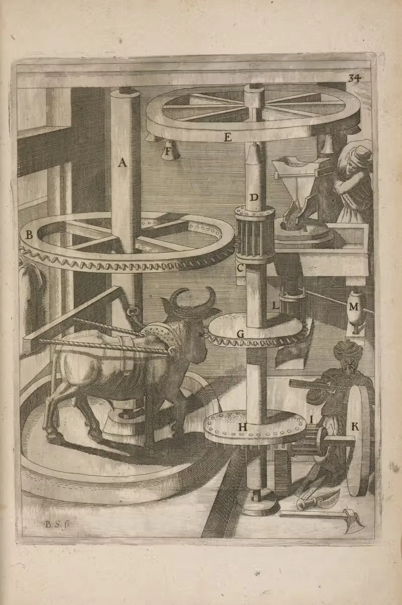 Fig. XXXIV. Aconi-&Sitimylos. — Georg Andreas Böckler