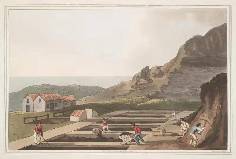 Заводы по производству алюминия, Пл. 32 by Джордж Уокер, 1814 — digital art print download