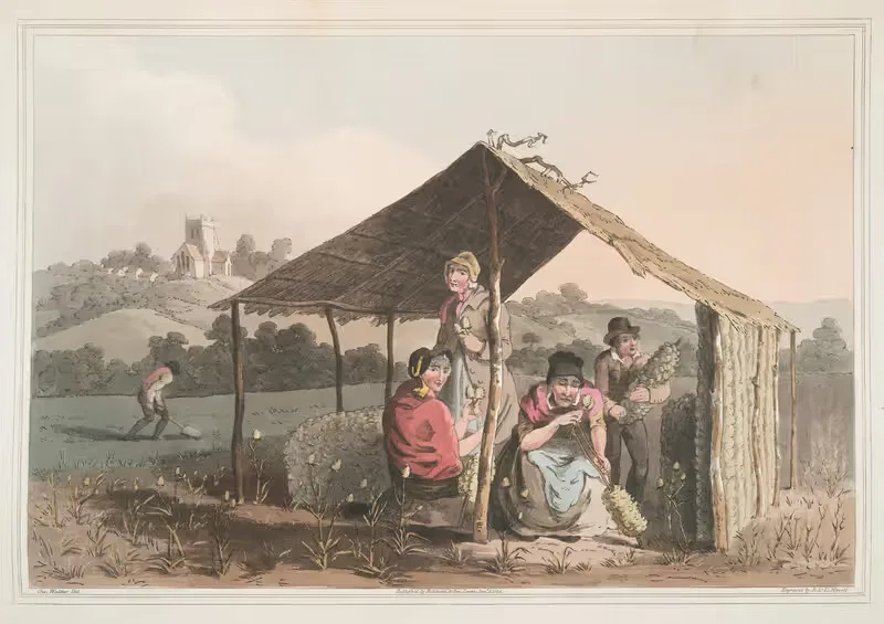 Teasel field, Plate 23 by George Walker, 1814 — digital art print download