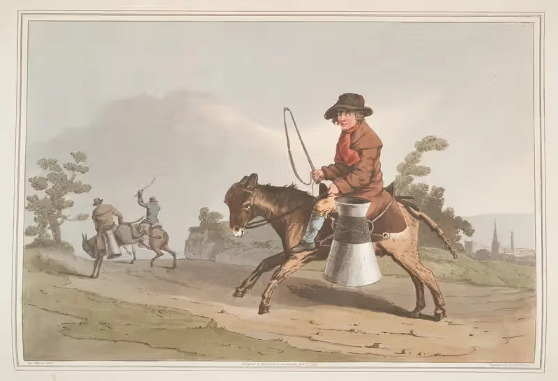 Молочник, Пл.14 by Джордж Уокер, 1814 — digital art print download