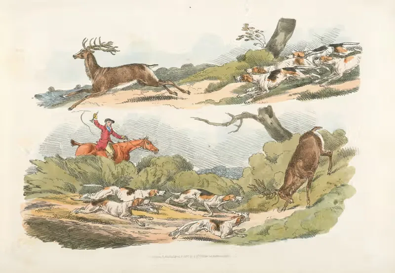 Охотник с собаками, преследующий оленя by Генри Томас Алкен, 1817-1818 — digital art print download