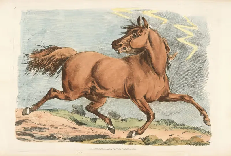 Коричневый конь в бегу by Генри Томас Алкен, 1817-1818 — digital art print download