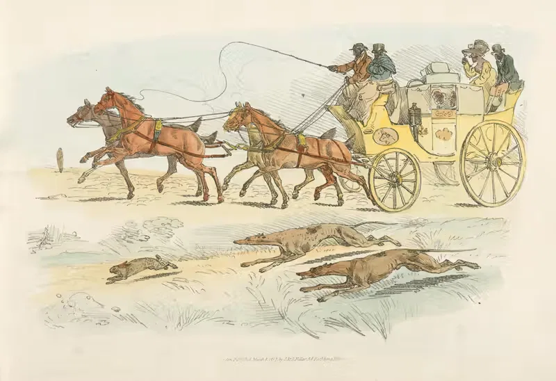 People on a carriage watching dogs chasing a rabbit — Henry Thomas Alken