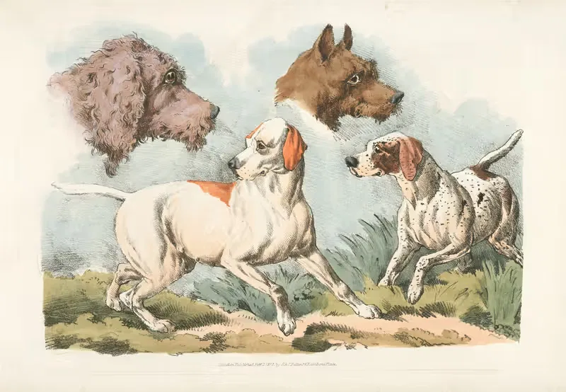 Two dogs and two dog heads — Henry Thomas Alken