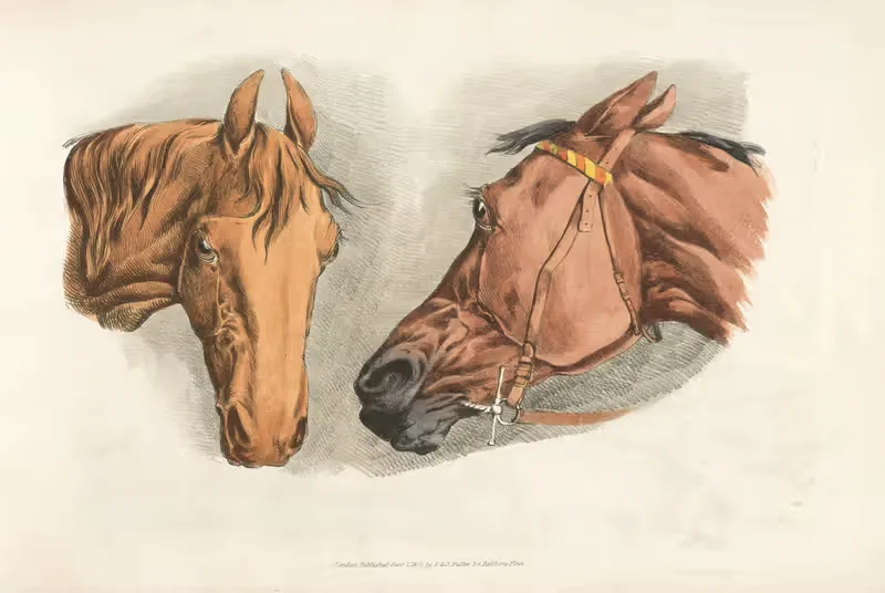 Two horse heads by Henry Thomas Alken, 1817-1818 — digital art print download
