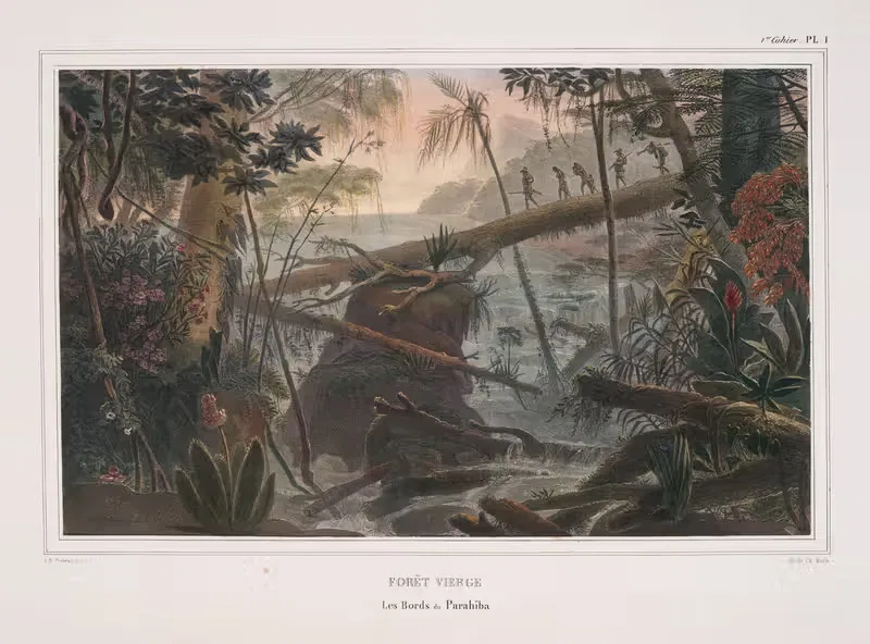 Девственная леса by Жан Батист Дебре, 1834 - 1839 — digital art print download