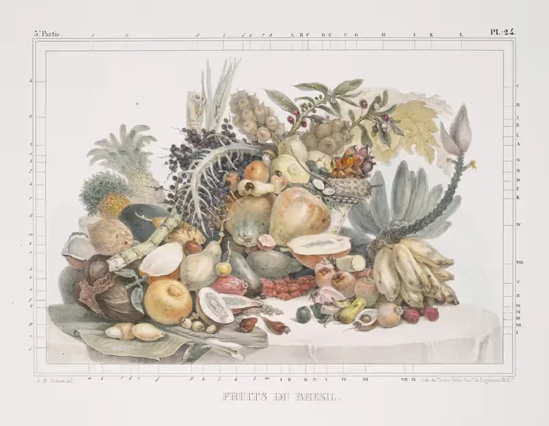 Фрукты Бразилии by Жан Батист Дебре, 1834 - 1839 — digital art print download
