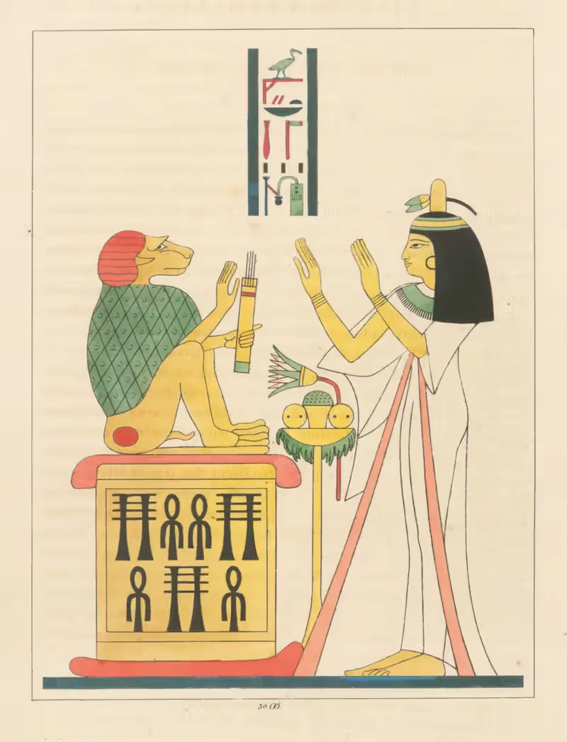 Киноцефал, живой символ Тота. by Леон-Жан-Жозеф Дюбуа, 1823 - 1825 — digital art print download