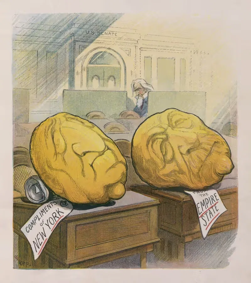 Разновидность с толстой кожей by Удо Кепплер, 1906 — digital art print download