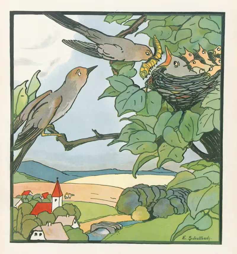 Комические совы, пл. 12 by Элизабет Шеллбах, 1909 — digital art print download