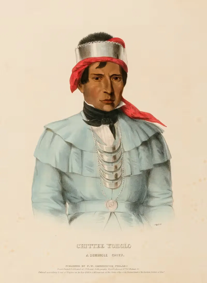 Читти-Йохоло. Семинольский вождь by Чарльз Берд Кинг, 1838 — digital art print download